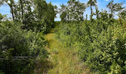 Photo #44 of 1115 WILMAR RD, vanceboro, NC 166.0 acres