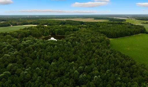 Photo #10 of Off Lakeview Dr, Tarboro, NC 3.5 acres