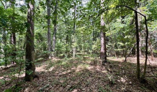 Photo #11 of Off Lakeview Dr, Tarboro, NC 3.5 acres