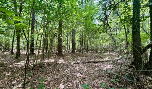 Photo #12 of Off Lakeview Dr, Tarboro, NC 3.5 acres