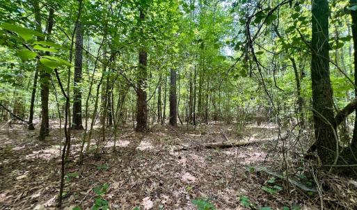 Photo #13 of Off Lakeview Dr, Tarboro, NC 3.5 acres