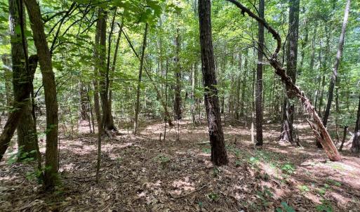 Photo #14 of Off Lakeview Dr, Tarboro, NC 3.5 acres