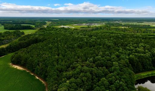 Photo #8 of Off Lakeview Dr, Tarboro, NC 3.5 acres