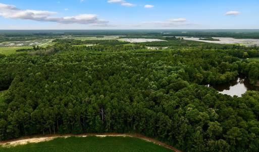 Photo #9 of Off Lakeview Dr, Tarboro, NC 3.5 acres