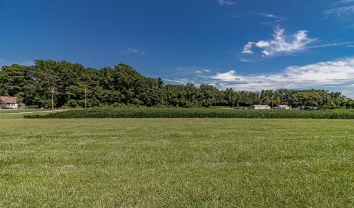 Photo #23 of 867 Old Mill Road, Stantonsburg, NC 3.5 acres
