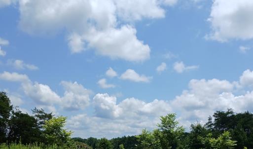Photo #14 of 6175 NC Hwy 86S, Yanceyville, NC 4.2 acres