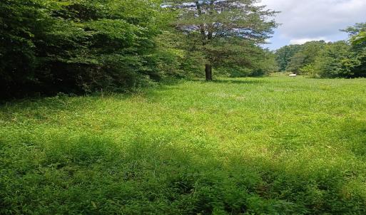 Photo #15 of 6175 NC Hwy 86S, Yanceyville, NC 4.2 acres