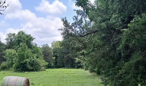 Photo #2 of 6175 NC Hwy 86S, Yanceyville, NC 4.2 acres