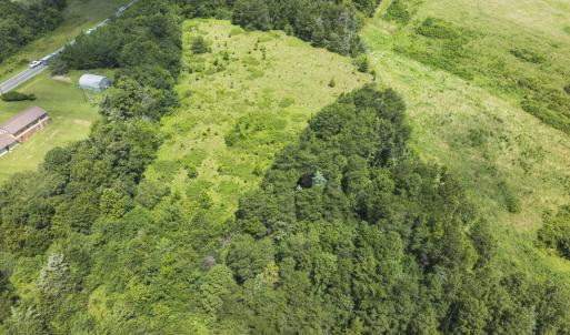 Photo #18 of 6175 NC Hwy 86S, Yanceyville, NC 4.2 acres