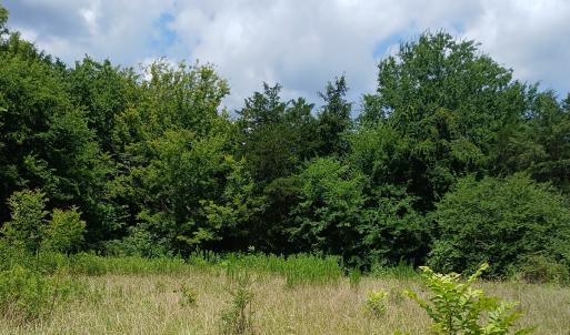 Photo #7 of 6175 NC Hwy 86S, Yanceyville, NC 4.2 acres