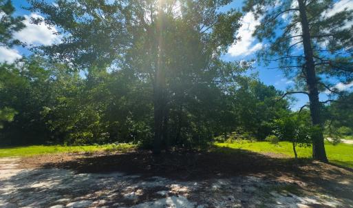 Photo #9 of Off Ravens Nest Lane, Cameron, NC 10.1 acres