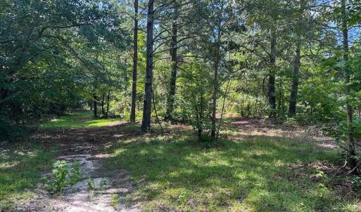 Photo #10 of Off Ravens Nest Lane, Cameron, NC 10.1 acres