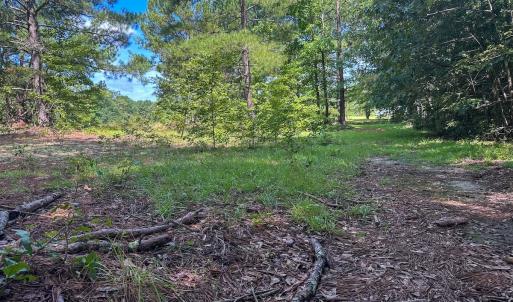 Photo #11 of Off Ravens Nest Lane, Cameron, NC 10.1 acres