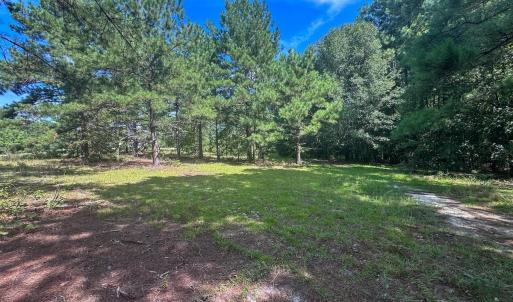 Photo #13 of Off Ravens Nest Lane, Cameron, NC 10.1 acres