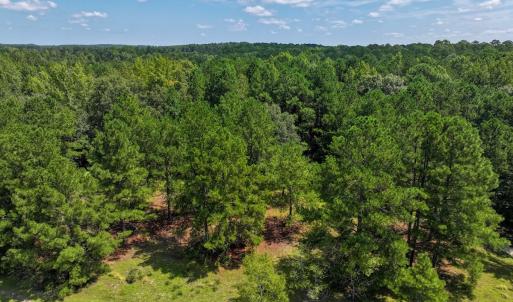 Photo #14 of Off Ravens Nest Lane, Cameron, NC 10.1 acres