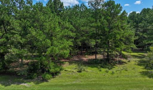 Photo #2 of Off Ravens Nest Lane, Cameron, NC 10.1 acres