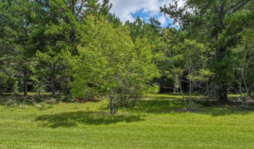 Photo #6 of Off Ravens Nest Lane, Cameron, NC 10.1 acres