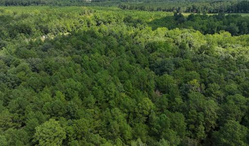 Photo #22 of Off Ravens Nest Lane, Cameron, NC 10.1 acres