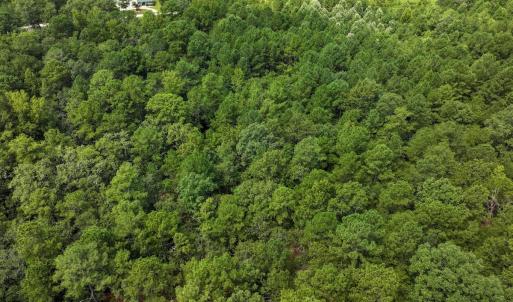Photo #23 of Off Ravens Nest Lane, Cameron, NC 10.1 acres
