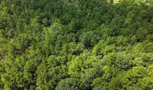 Photo #24 of Off Ravens Nest Lane, Cameron, NC 10.1 acres