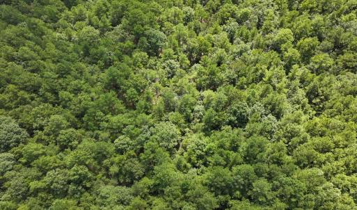 Photo #25 of Off Ravens Nest Lane, Cameron, NC 10.1 acres