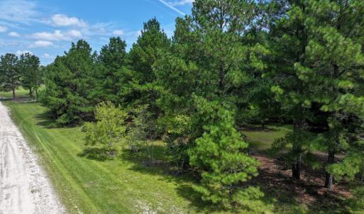 Photo #26 of Off Ravens Nest Lane, Cameron, NC 10.1 acres