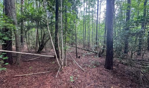 Photo #29 of Off Ravens Nest Lane, Cameron, NC 10.1 acres