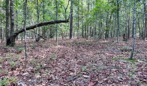 Photo #30 of Off Ravens Nest Lane, Cameron, NC 10.1 acres