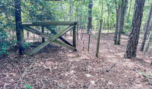 Photo #31 of Off Ravens Nest Lane, Cameron, NC 10.1 acres