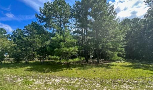 Photo #33 of Off Ravens Nest Lane, Cameron, NC 10.1 acres