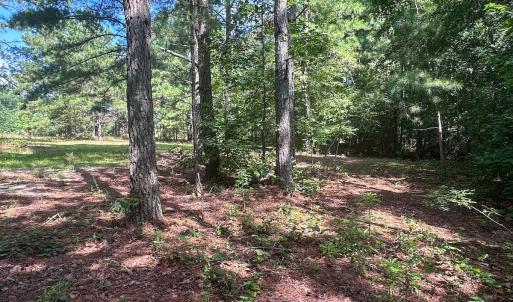 Photo #34 of Off Ravens Nest Lane, Cameron, NC 10.1 acres