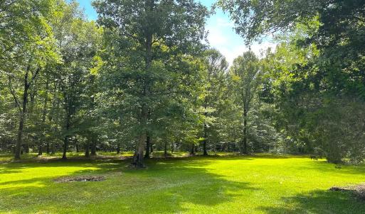 Photo #27 of 15316 Rattlesnake Trail, Ivor, VA 15.0 acres