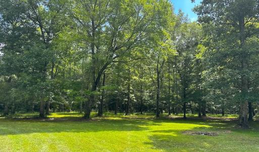 Photo #28 of 15316 Rattlesnake Trail, Ivor, VA 15.0 acres