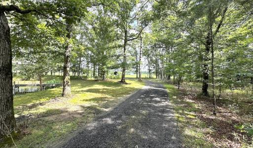 Photo #29 of 15316 Rattlesnake Trail, Ivor, VA 15.0 acres