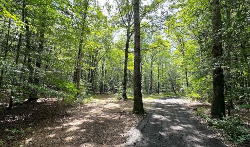 Photo #30 of 15316 Rattlesnake Trail, Ivor, VA 15.0 acres