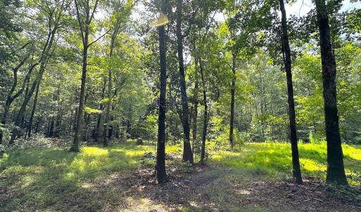 Photo #31 of 15316 Rattlesnake Trail, Ivor, VA 15.0 acres