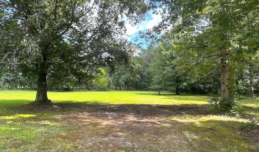 Photo #36 of 15316 Rattlesnake Trail, Ivor, VA 15.0 acres