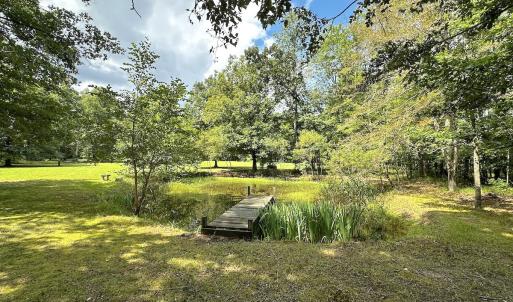 Photo #5 of 15316 Rattlesnake Trail, Ivor, VA 15.0 acres