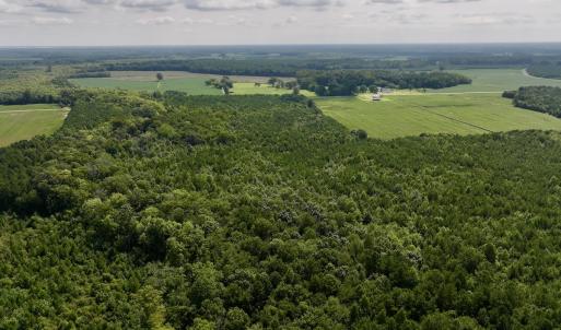 Photo #10 of 1596 Middle Swamp Rd, Corapeak, NC 149.9 acres