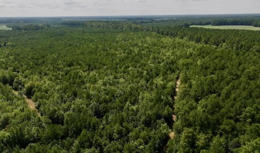 Photo #12 of 1596 Middle Swamp Rd, Corapeak, NC 149.9 acres