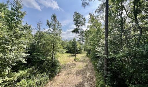 Photo #13 of 1596 Middle Swamp Rd, Corapeak, NC 149.9 acres