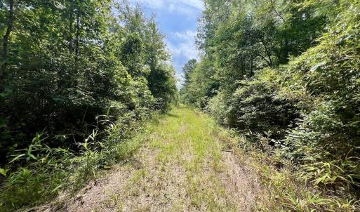 Photo #15 of 1596 Middle Swamp Rd, Corapeak, NC 149.9 acres
