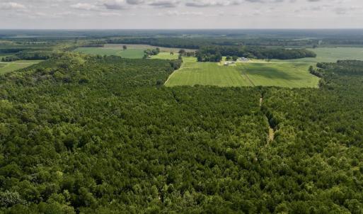 Photo #17 of 1596 Middle Swamp Rd, Corapeak, NC 149.9 acres
