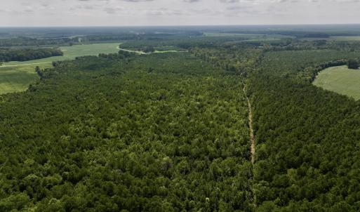 Photo #18 of 1596 Middle Swamp Rd, Corapeak, NC 149.9 acres