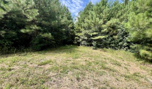Photo #19 of 1596 Middle Swamp Rd, Corapeak, NC 149.9 acres