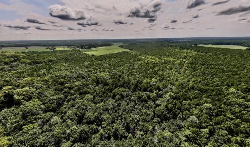 Photo #1 of 1596 Middle Swamp Rd, Corapeak, NC 149.9 acres