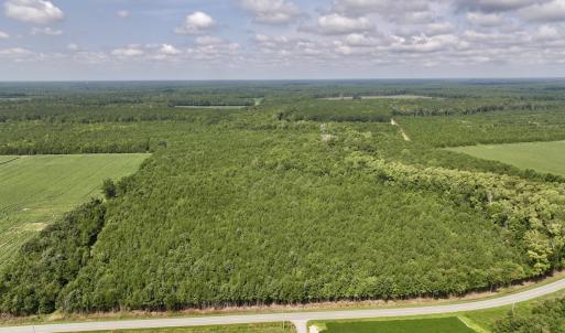Photo #2 of 1596 Middle Swamp Rd, Corapeak, NC 149.9 acres