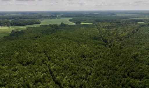 Photo #22 of 1596 Middle Swamp Rd, Corapeak, NC 149.9 acres