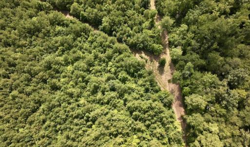 Photo #24 of 1596 Middle Swamp Rd, Corapeak, NC 149.9 acres