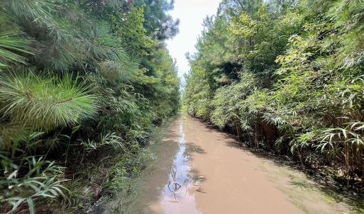 Photo #27 of 1596 Middle Swamp Rd, Corapeak, NC 149.9 acres